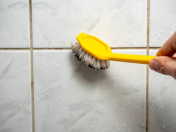 Best Local Mold Removal Service  in Angola, IN