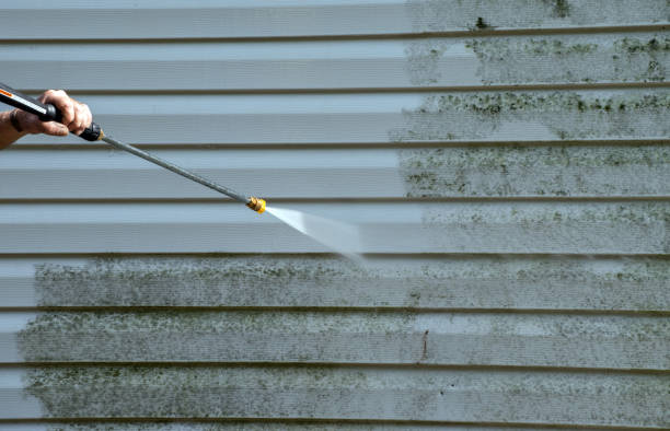 Best Professional Mold Removal  in Angola, IN